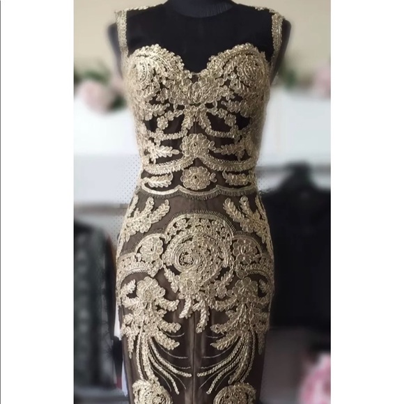 Jadore Dresses & Skirts - ✨HOST PICK✨ Jadore Gold Lace Mesh Formal Gown